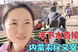 内蒙农民宰羊过新年，200块的羊下水直接送人，羊下水咋清洗？
