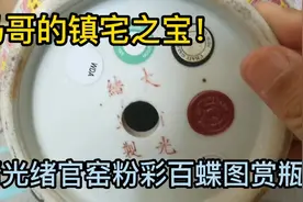 马哥拿出压箱底的宝贝—清光绪官窑粉彩百蝶图赏瓶！分享给大家！视频封面