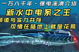 【妄想山海】一万八千年·超级电鳗 介绍 强电溪滑 新电系之王!!!视频封面