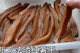 用新方法晒红薯干，快干好吃无任何添加剂，比去外面买的吃的放心视频封面