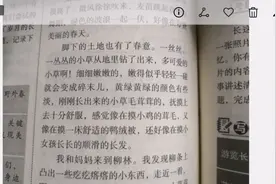 作文教程2。记叙文写作拿到高分甚至满分的重要工具：人物形象。视频封面