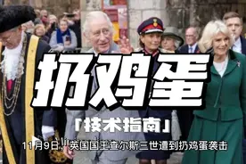 怎样扔鸡蛋——向西方政要扔鸡蛋的技术指南视频封面