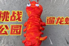 遛了只龙虾去公园，把所有的狗都吓跑了！瞬间成为公园的焦点明星视频封面