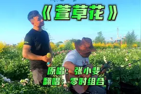 如果有一天懂了忧伤，想着它，就会有，好梦一场，翻唱《萱草花》视频封面