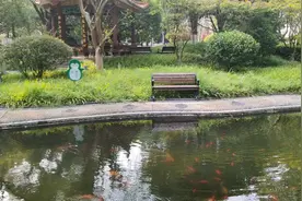 湖南检察院内水池安全预防工作做得细致，水中现拉网！鱼儿欢游！视频封面