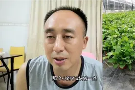 给大家推荐一下，买绿萝最实惠的价格，只要找对地方，就能省钱。视频封面