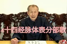 4十四经脉体表分部歌视频封面