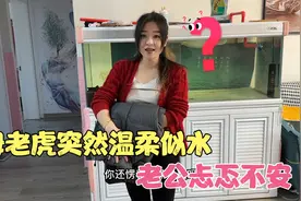 凶神恶煞的母老虎突然变得温柔似水，老公吓的差点尿了，为了啥？视频封面
