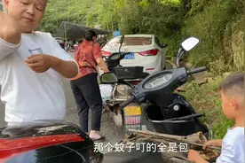 一家人上山去砍柴，5岁浩浩唱一首孤勇者，小菲直夸好听视频封面