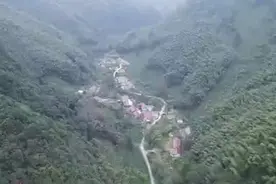 养蜂场地，四面环山，常年蜜源植物不断视频封面