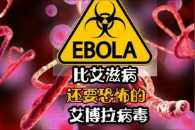比艾滋病还要恐怖的病毒，可怕的埃博拉病毒视频封面