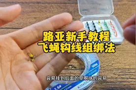 微物路亚：教你怎么绑飞蝇钩线组视频封面