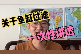 一次性把所有鱼缸过滤的问题讲完，要再不会弄滤材，我也没办法了视频封面