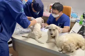 这次难得真的扛不住了？老天啊。求求你放过我吧视频封面