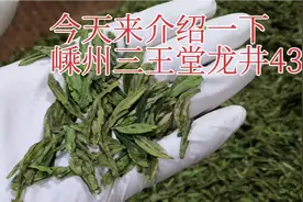 今天来介绍一下嵊州三王堂的龙井43视频封面