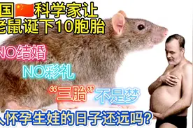 重磅！中国科学家让公老鼠诞下10胞胎，男人怀孕生娃的日子还远吗视频封面