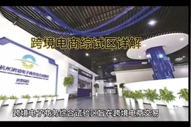 独立站卖家必知的跨境电商综合试验区详解视频封面