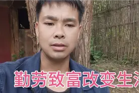 农村单身小伙，独自一人种植十亩西红柿，年收入10万+视频封面