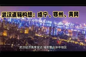 武汉直辖构想：咸宁、鄂州、黄冈、黄石、孝感并入大武汉视频封面