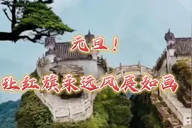元旦！缅怀伟人豪迈精神学习伟人诗词《如梦令.元旦》视频封面