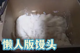 懒人版馒头，用面包机和面发面，为主妇省力偷懒！视频封面