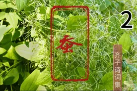 齐子诗集  第2首 蚕视频封面