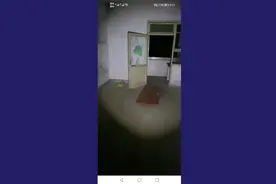 夜探宿舍楼3视频封面