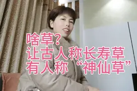 啥草？让古人称长寿草，有人还称它神仙草视频封面