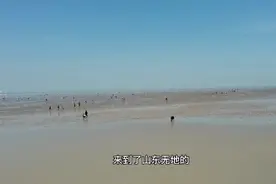 世界罕见的海洋自然遗迹国家级自然保护区山东无棣贝壳堤岛和湿地视频封面