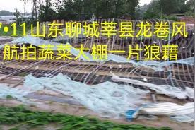 航拍山东聊城莘县龙卷风经过蔬菜大棚后损失惨重一片狼藉视频封面