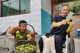 核桃比石头还硬，骨质好密度高扔到水里能沉底，这大哥也太会养了视频封面