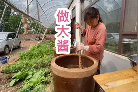 东北农民做大酱？原来盐和黄豆的比例是这样的？难怪好吃视频封面