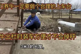 咱们养牛一定要做个合理的上车台，牛出栏时装车方便才不会掉秤视频封面