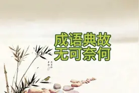 成语典故，无可奈何视频封面