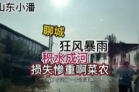 山东聊城突降大雨，龙卷风暴雨过后积水成河 菜农大棚损失惨重视频封面