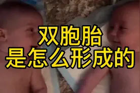 你知道双胞胎是怎么形成的吗？视频封面
