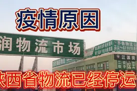 全国物流即将全面停运，受疫情影响陕西省物流已经停运半个多月！视频封面