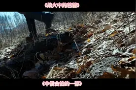 中俄百姓和俄罗斯军人，一起共同作战对抗日本鬼子视频封面