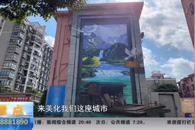 3d立体画作品《希望门》，在新闻综合频道和公共频道进行播放。视频封面