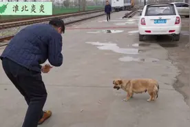 安徽偏远的小火车站，十分落后，流浪狗天天来找食物视频封面