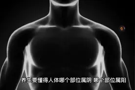 养生入门。首先了解身体各部位阴阳所属视频封面