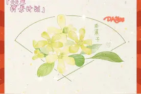 「临摹打卡」茶藨（biāo)子，原来灯笼果的花长这样。视频封面