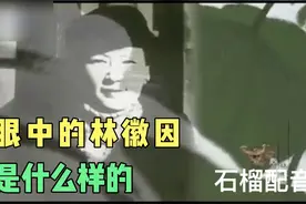 除了才华和美貌，林徽因的这一性格特点，决定了她一生不平凡视频封面