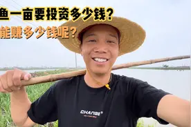 养鱼一亩投资多少？又能赚多少呢？湖北60亩鱼塘，最多一年赚25万视频封面