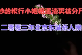 2003年 银行小姐姐被渣男分尸案视频封面