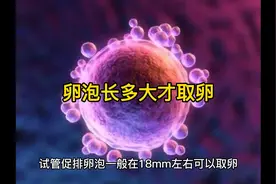 做试管时，卵泡长多大才取卵视频封面