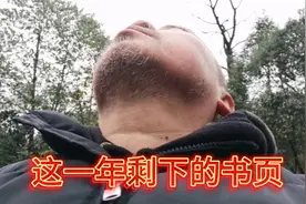 这一年剩下的时间不多了，追忆这一年的似水年华，我竟然无语凝噎视频封面