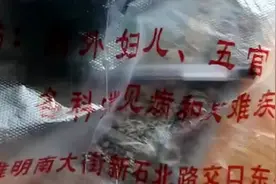 人以脾胃中元气之本，中医，国人之骄傲！视频封面