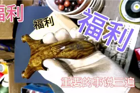 感谢长久以来粉丝的陪伴与支持，今天送上点心意，望大家及时参加视频封面