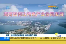 海南如何让特色产业协同发展视频封面